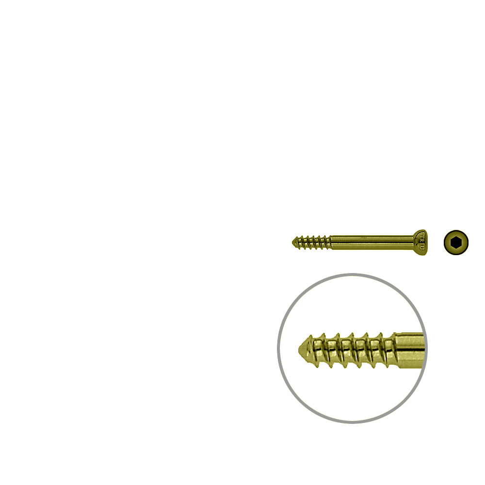 Schaftschraube 4,5x 42mm TITAN 