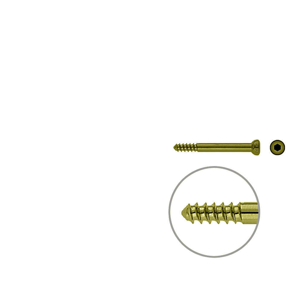 Schaftschraube 4,5x 44mm TITAN 