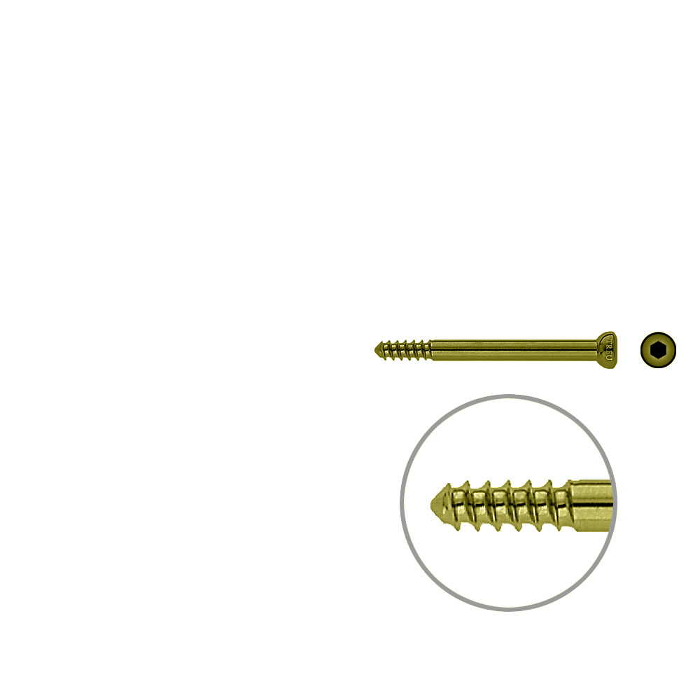 Schaftschraube 4,5x 52mm TITAN 