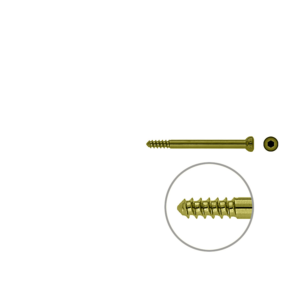 Schaftschraube 4,5x 56mm TITAN 