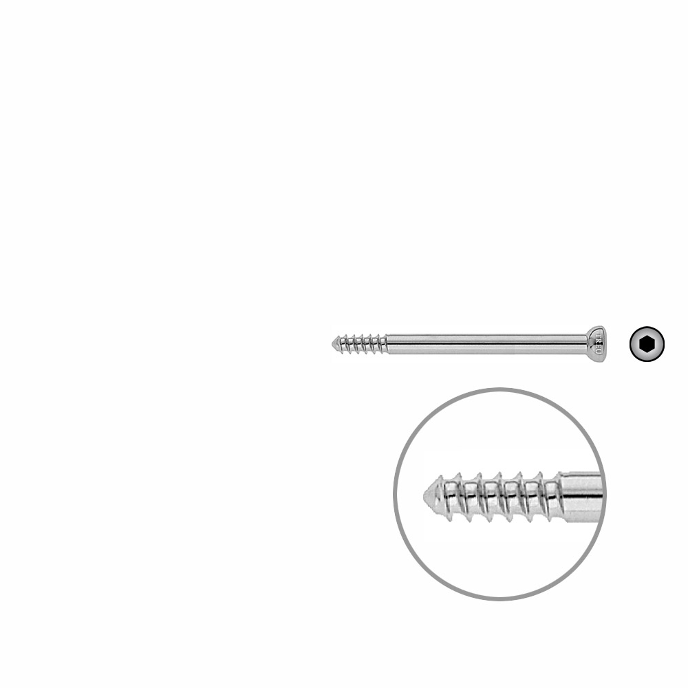 Shank Screw 4.5x60mm 