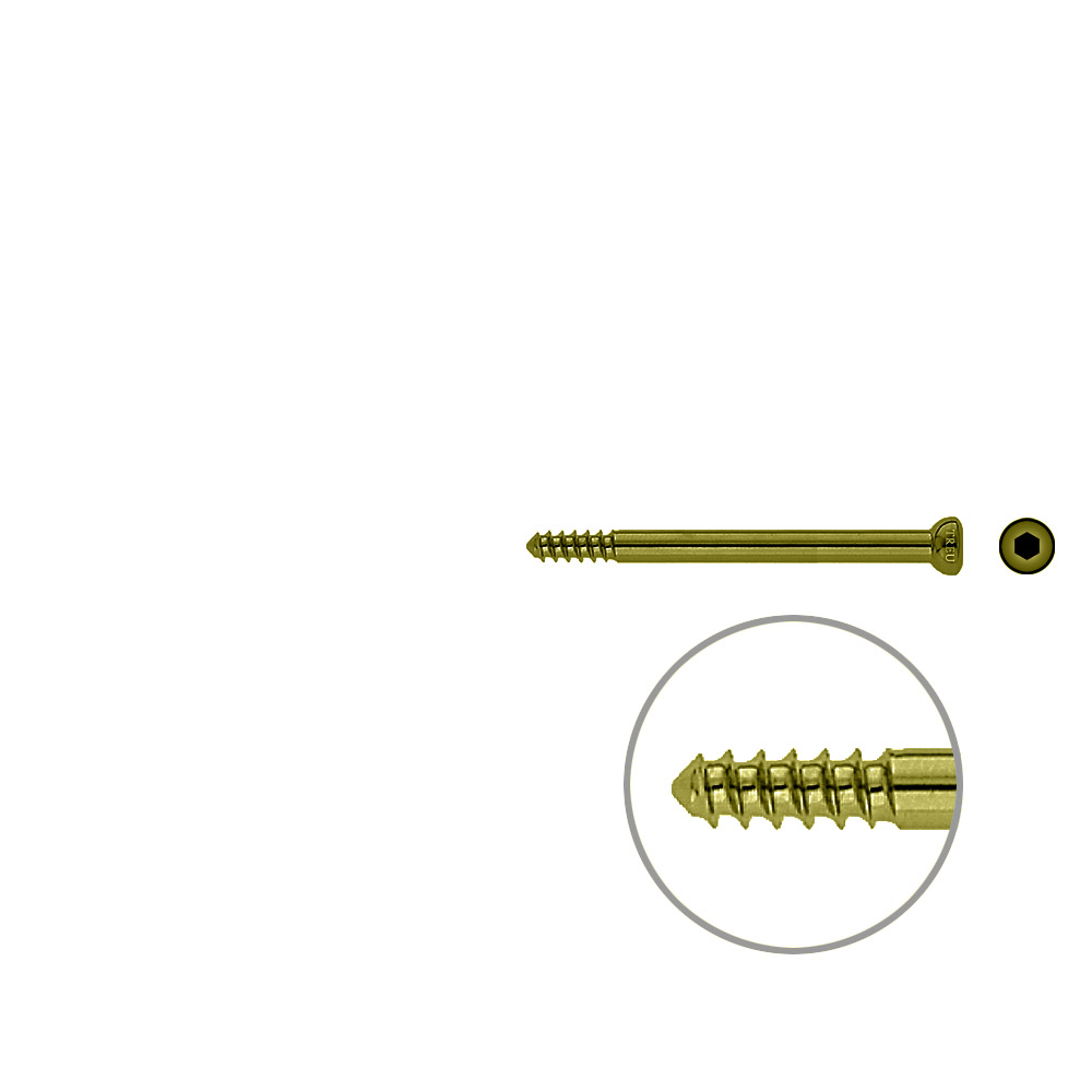 Schaftschraube 4,5x 60mm TITAN 