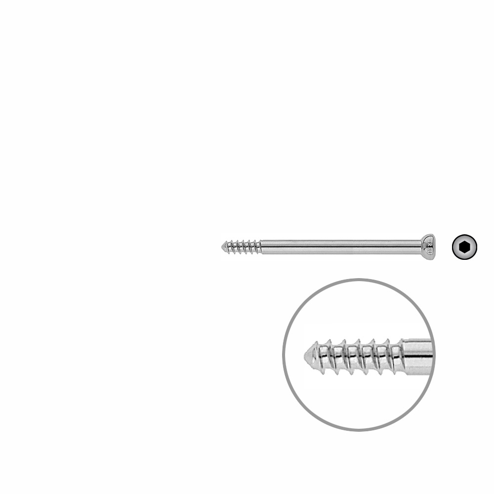 Shank Screw 4.5x65mm 