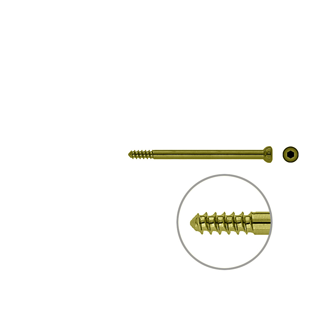 Schaftschraube 4,5x 70mm TITAN 