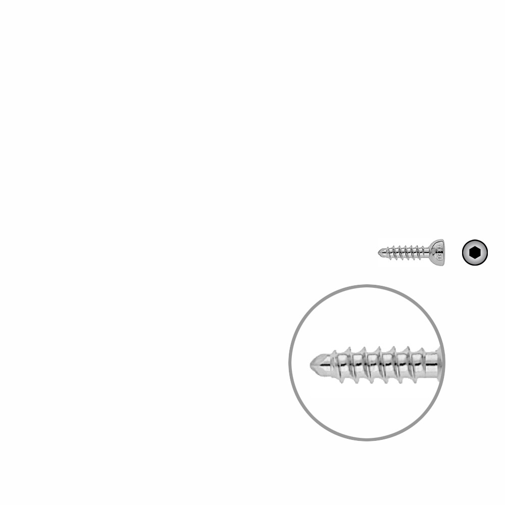 Malleolar screws 4.5 x 20mm 