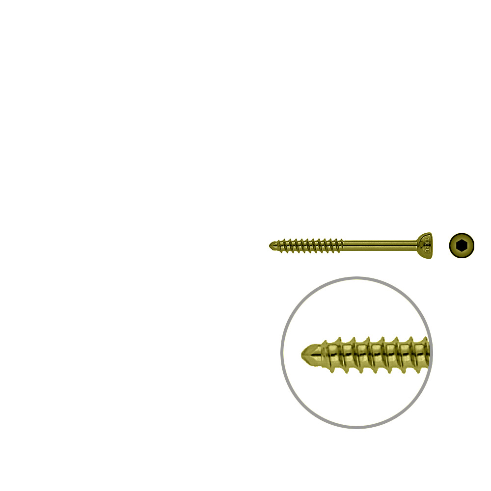 Malleolar screw 4,5x 50mm TITAN 