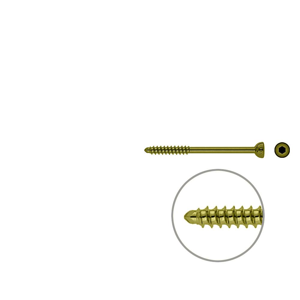 Malleolar screw 4,5x 60mm TITAN 