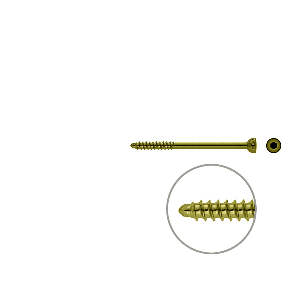 Malleolar screw 4,5x 65mm TITAN 