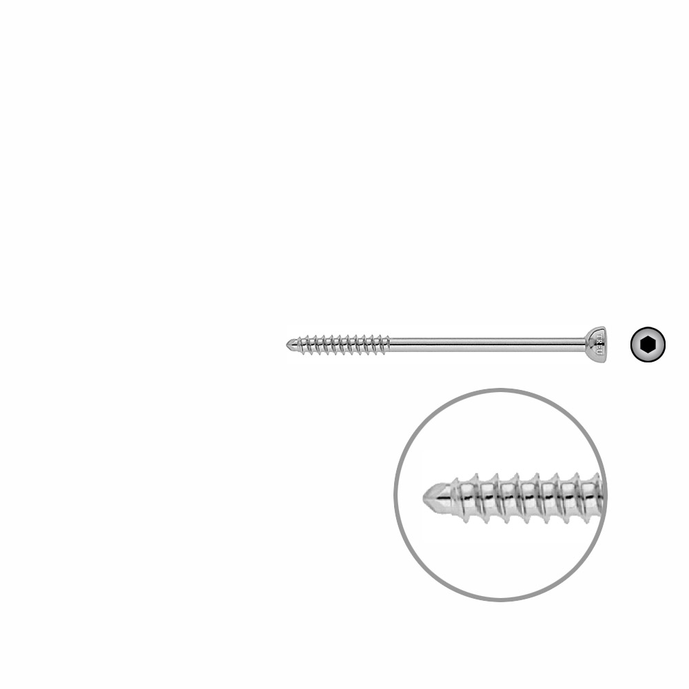 Malleolar screw 4.5x 70mm 