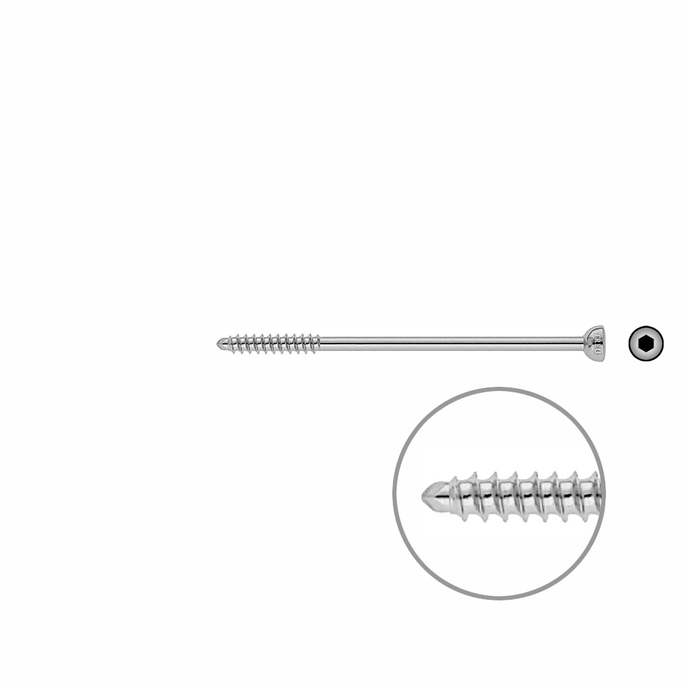 Malleolar screw 4,5x 85mm 