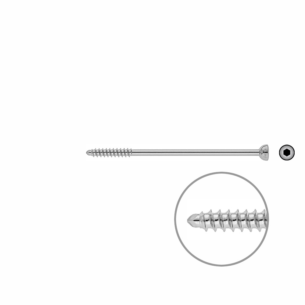 Malleolar screw 4,5x 90mm 