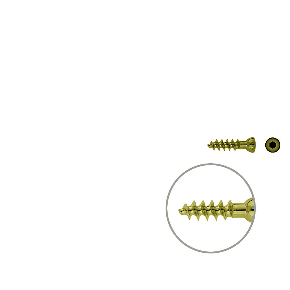 Cancellous screw 6.5 16mm thr. 25mm TITAN 