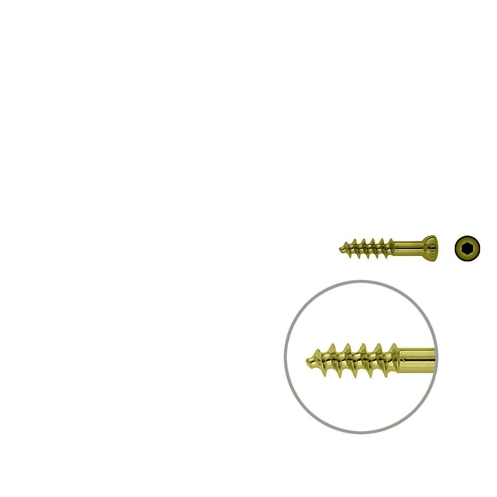 Spongiosa screw 6,5 16mm thr. 30mm TITAN 