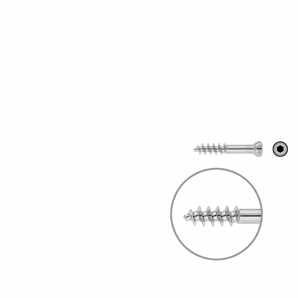 Spongiosa screw 6.5 16mm thr. 35mm 