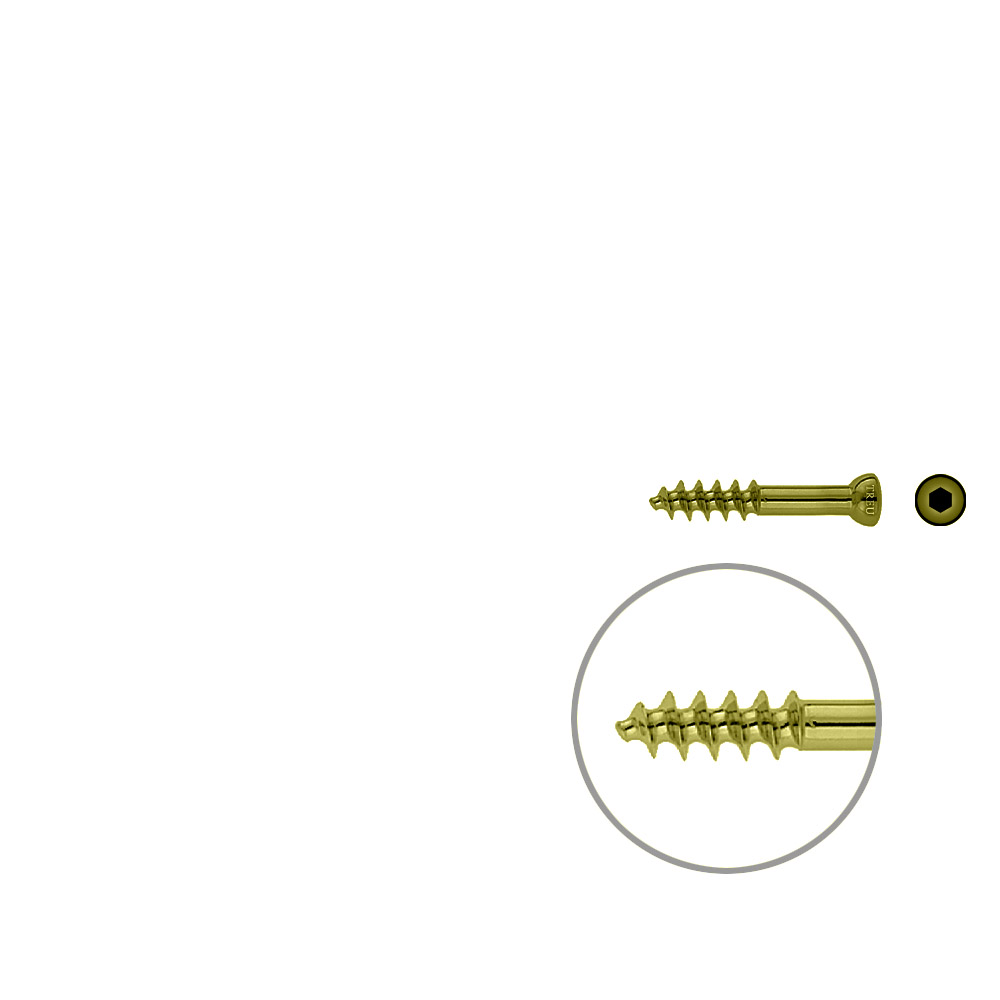 Spongiosa screw 6.5 16mm thr. 35mm TITAN 