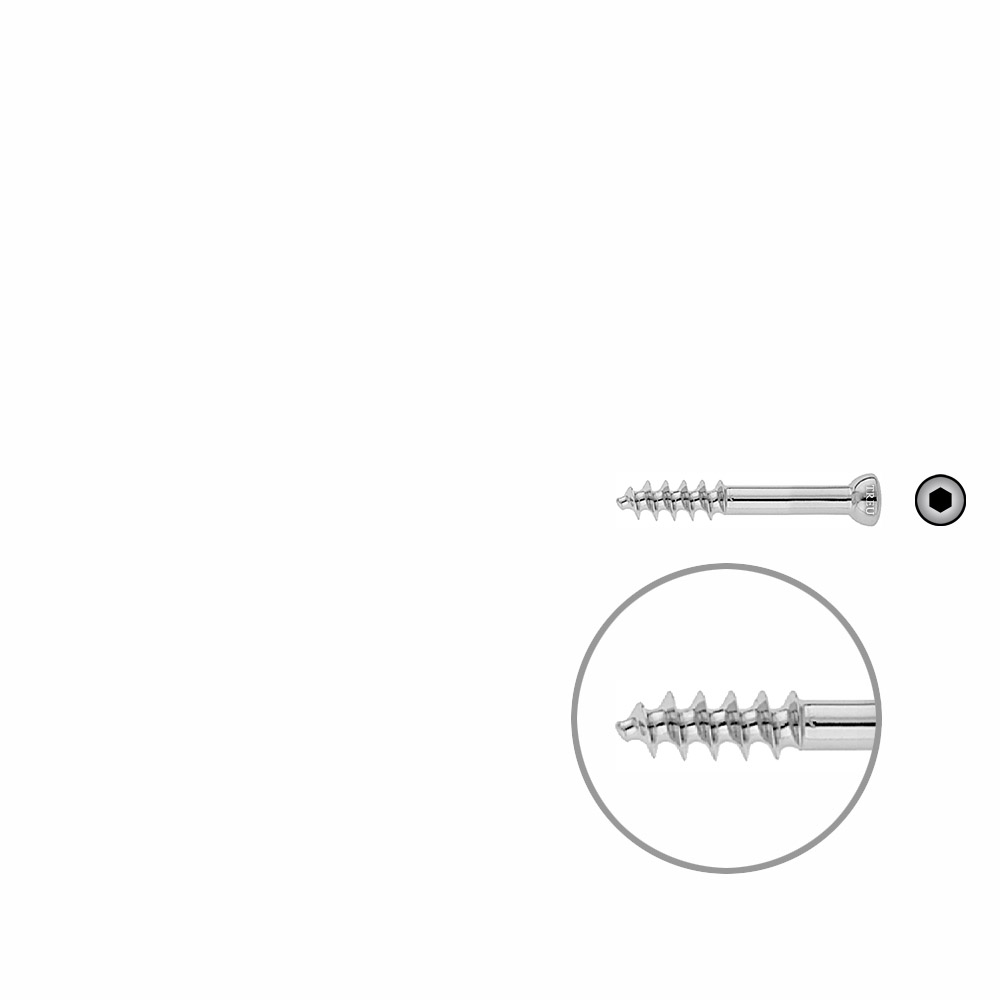 Spongiosa screw 6,5 16mm thr. 40mm 