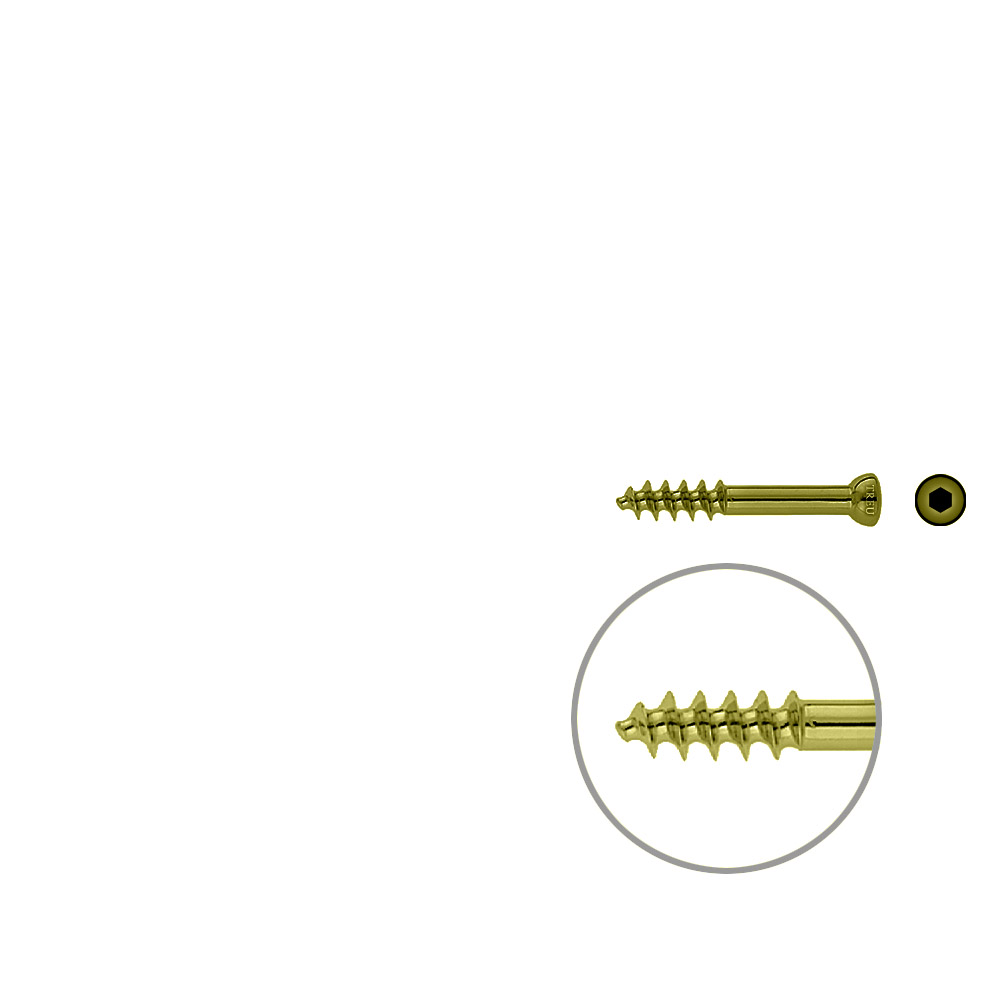 Spongiosa screw 6,5 16mm thr. 40mm TITAN 