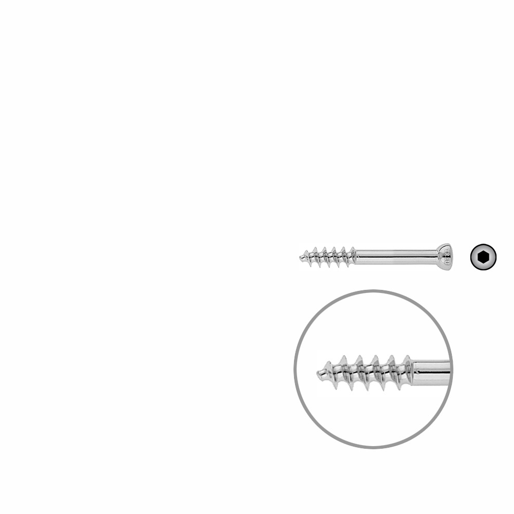 Spongiosa screw 6,5 16mm thr. 45mm 