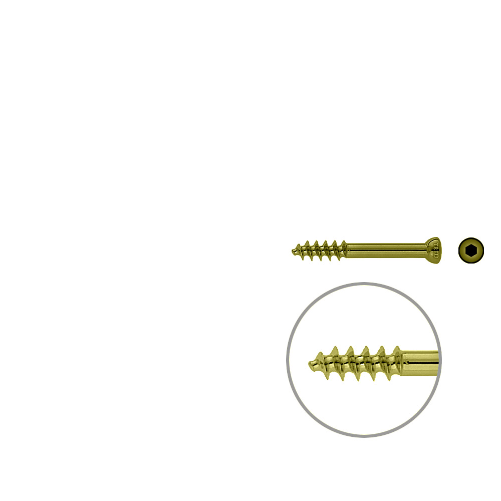 Spongiosa screw 6,5 16mm thr. 45mm TITAN 