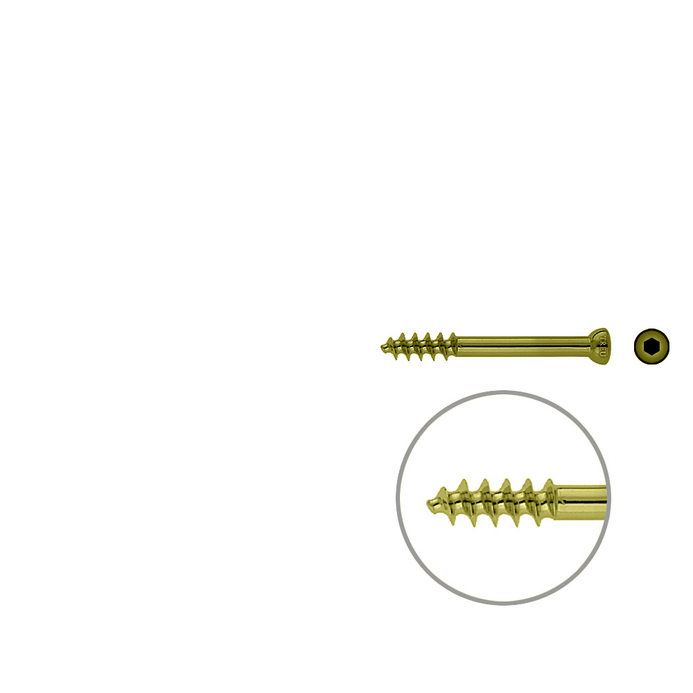 Spongiosa screw 6.5 16mm thr. 50mm TITAN 