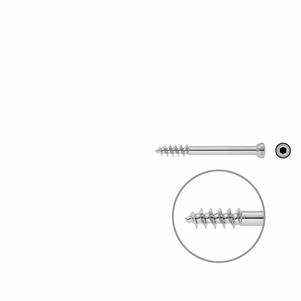 Spongiosa screw 6,5 16mm thr. 55mm 