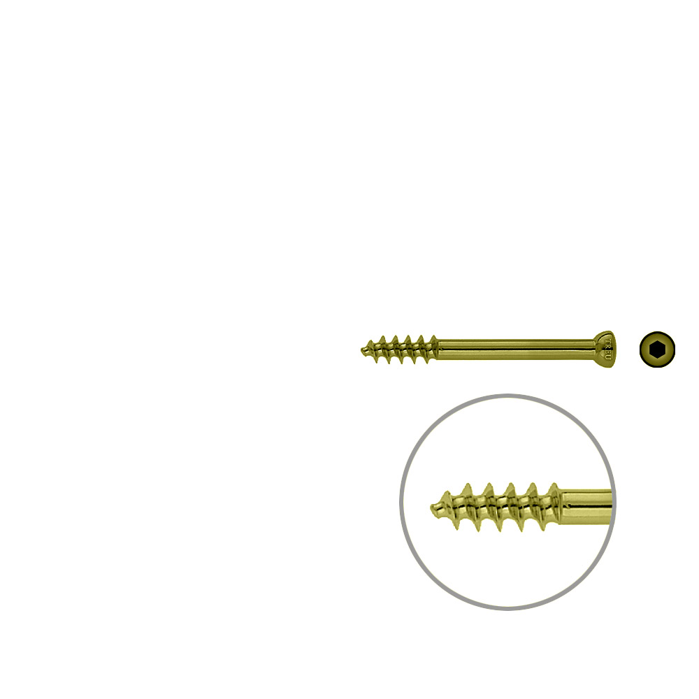 Spongiosa screw 6,5 16mm thr. 55mm TITAN 