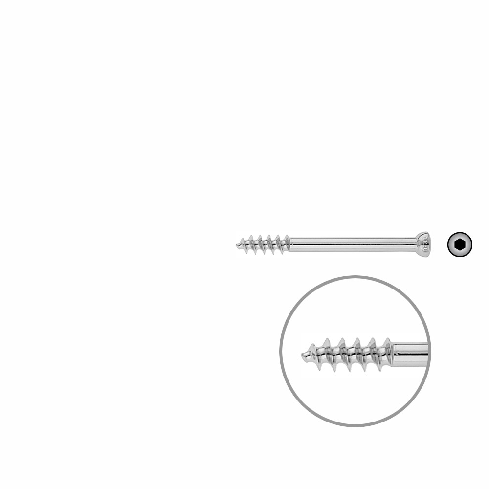 Spongiosa screw 6,5 16mm thr. 60mm 