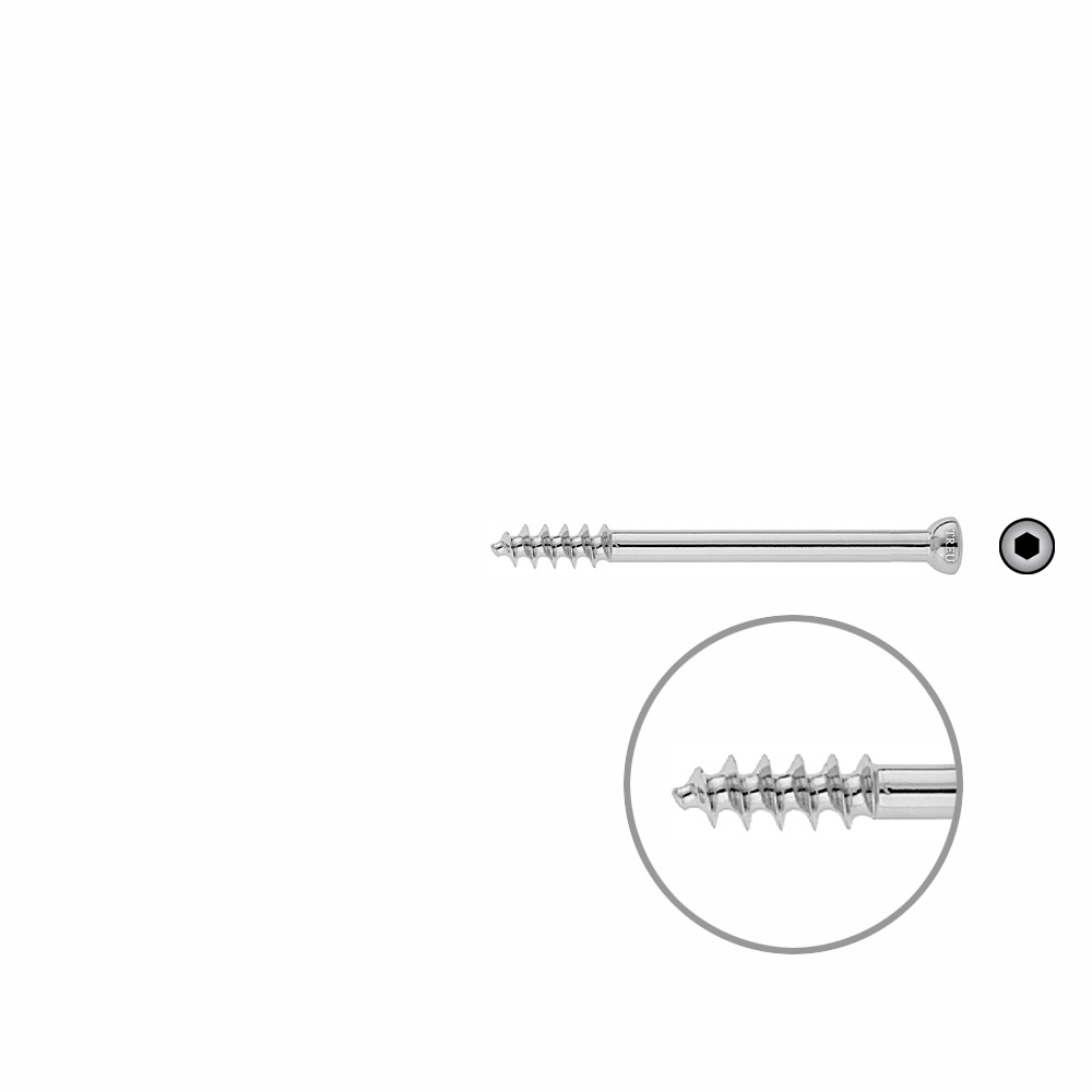 Spongiosa screw 6.5 16mm thr. 65mm 