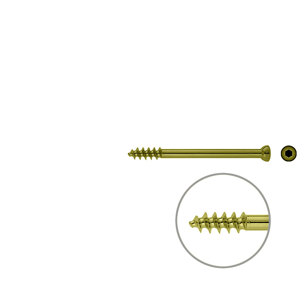 Spongiosa screw 6,5 16mm thr. 70mm TITAN 