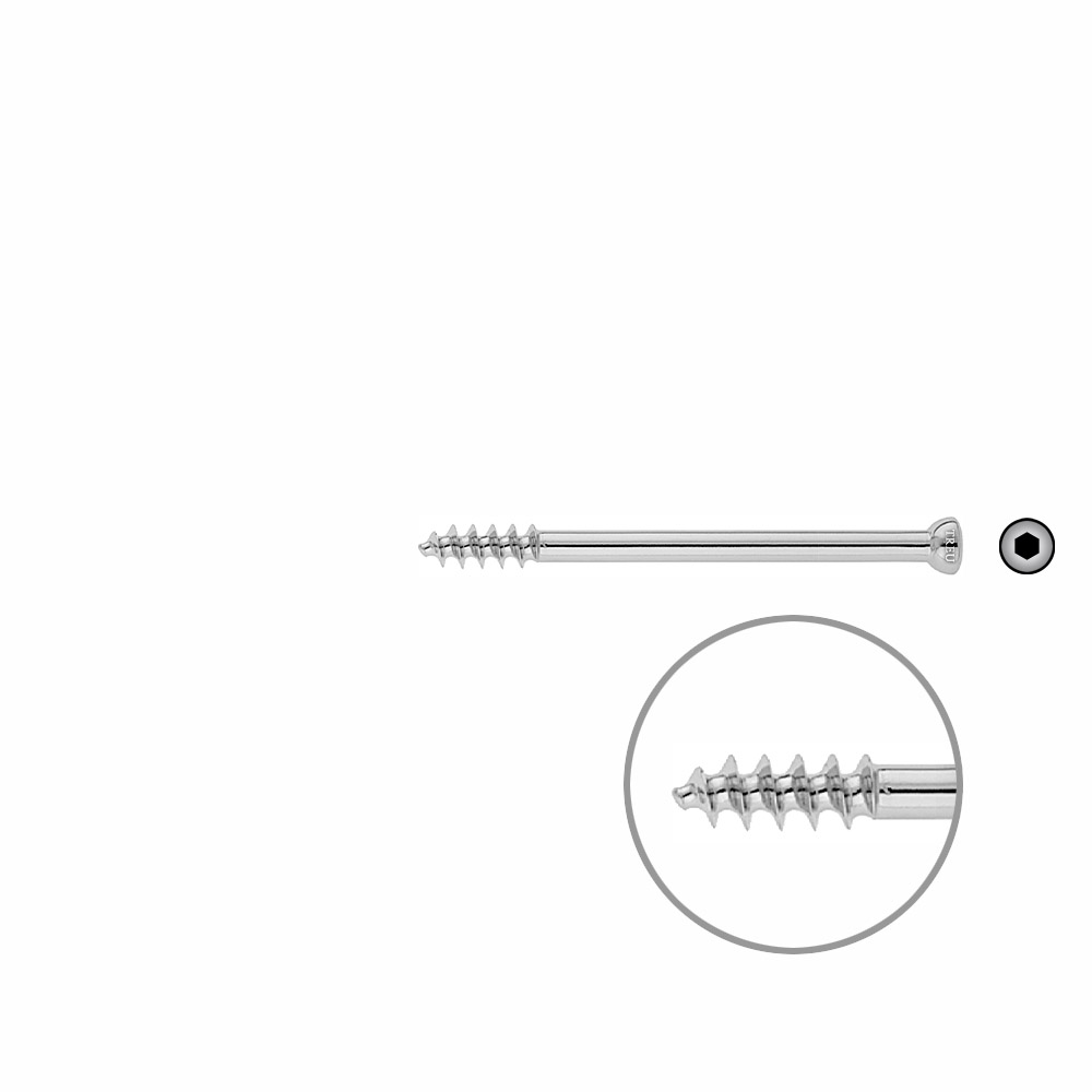 Spongiosa screw 6,5x 75mm thr. 16mm 