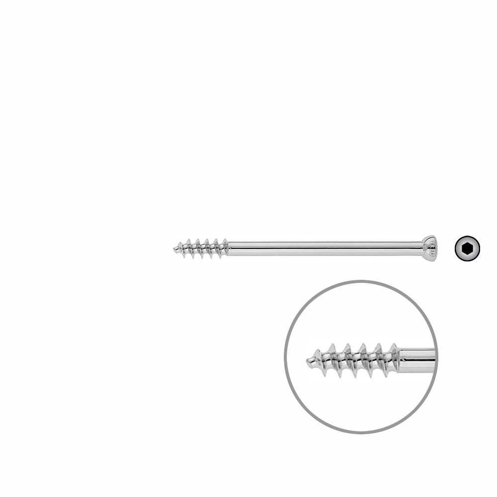 Spongiosa screw 6,5x 80mm thr. 16mm 