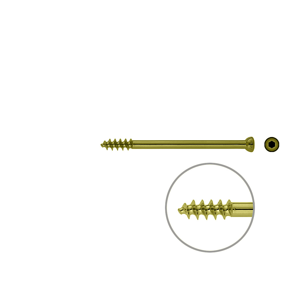 Spongiosa screw 6,5x 80mm thr. 16mm TITAN 