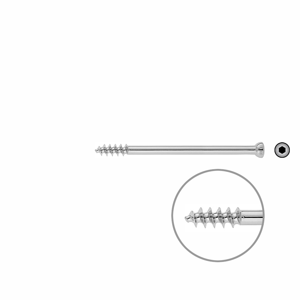 Spongiosa screw 6,5x 85mm thr. 16mm 