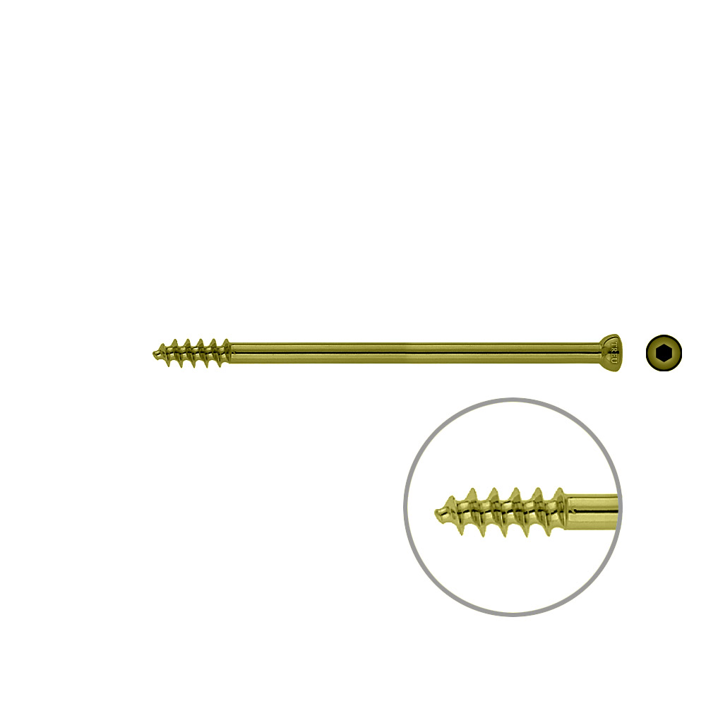 Spongiosa screw 6,5x 100mm thr.16mm TITAN 