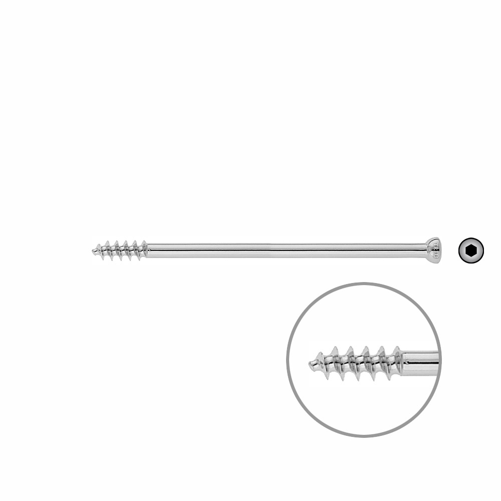 Spongiosa screw 6.5x 105mm thr.16mm 