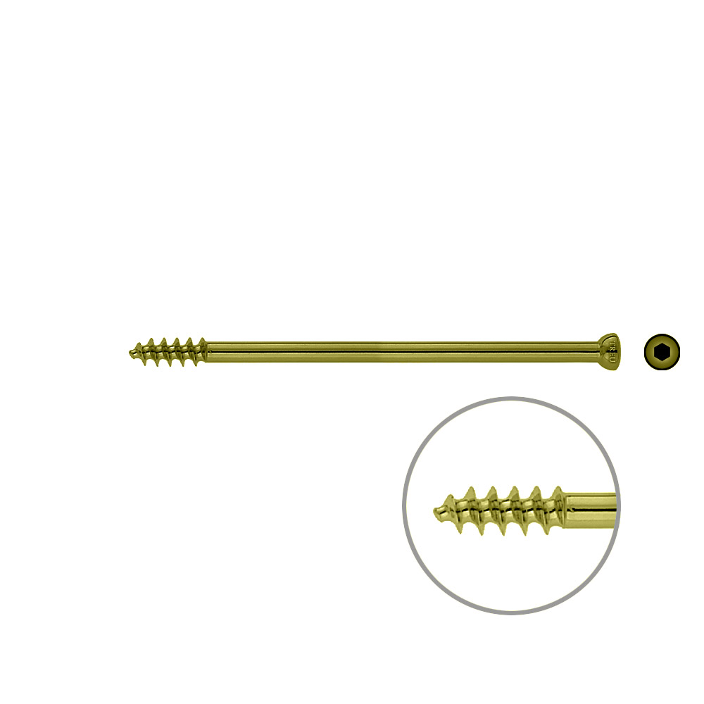 Spongiosa screw 6.5x 105mm thr.16mm TITAN 