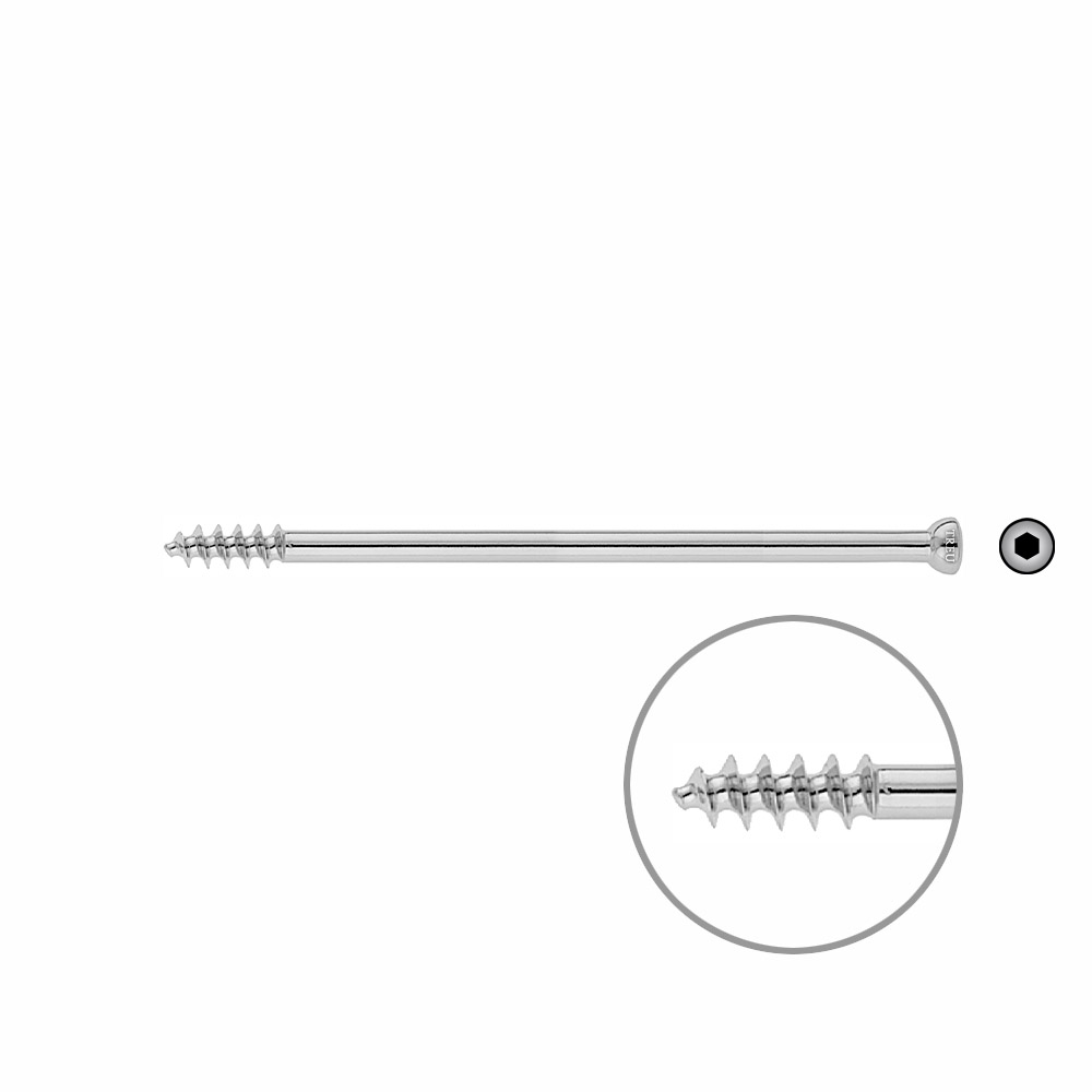 Spongiosa screw 6.5x 110mm thr.16mm 