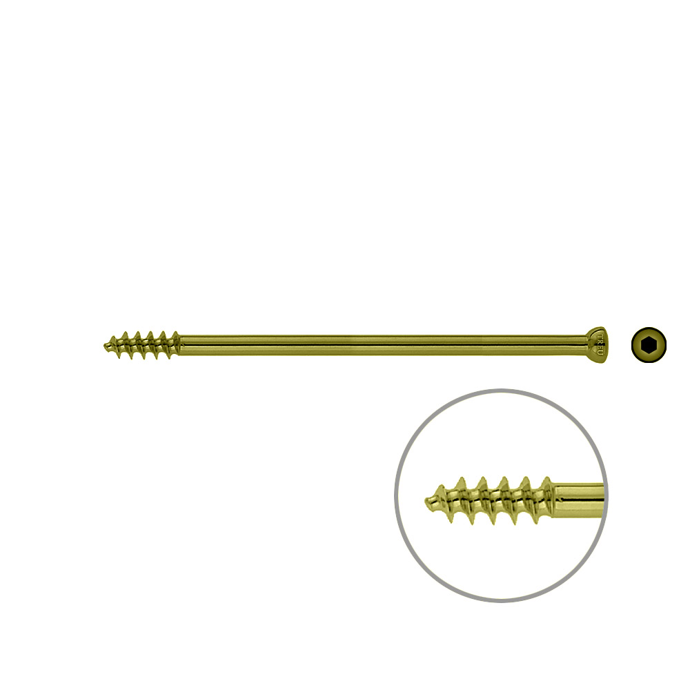 Spongiosa screw 6.5x 110mm thr.16mm TITAN 