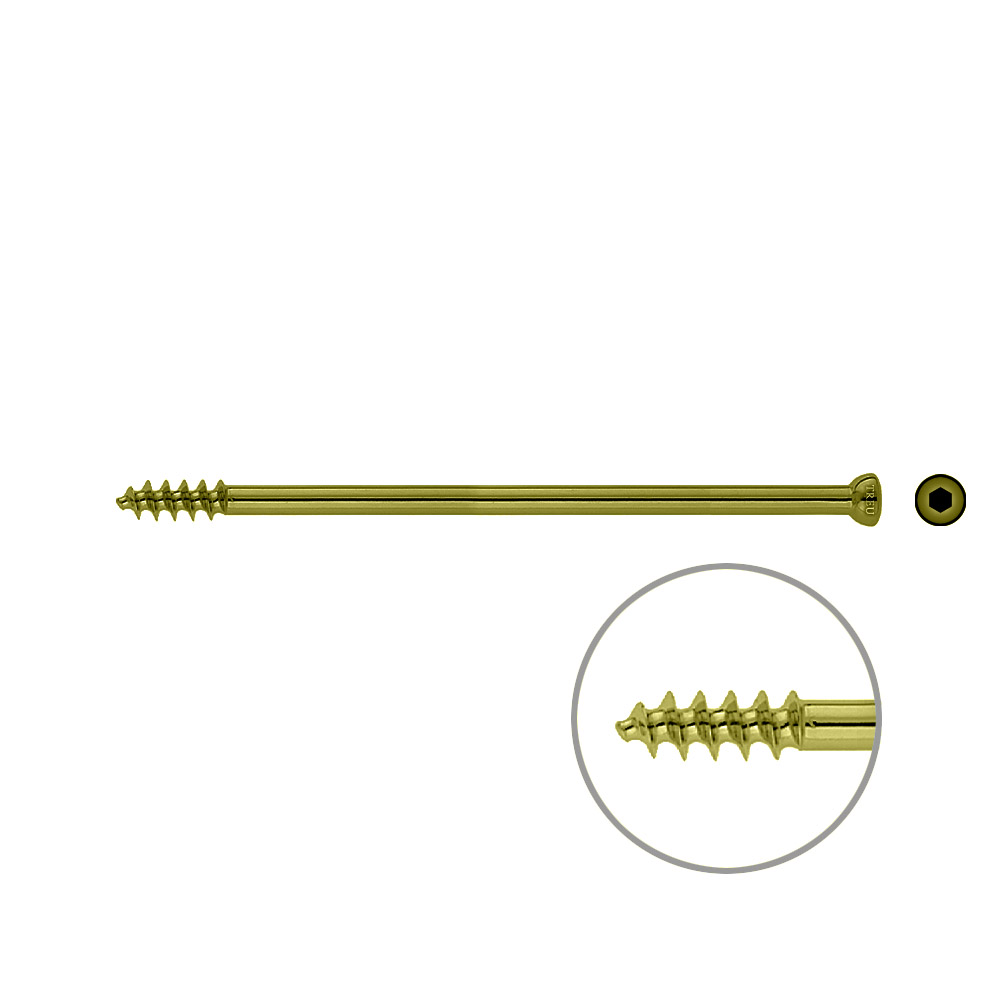 Spongiosa screw 6.5x 115mm thr.16mm TITAN 