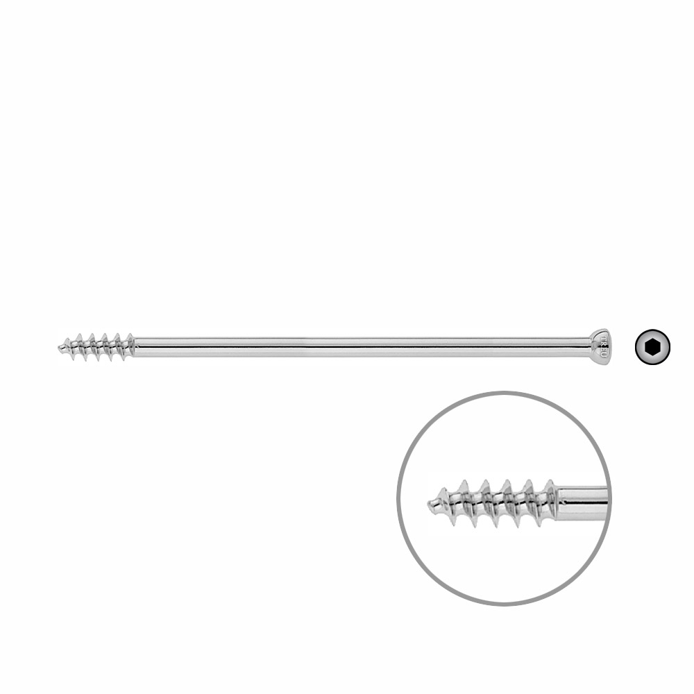 Spongiosa screw 6.5x 120mm thr.16mm 