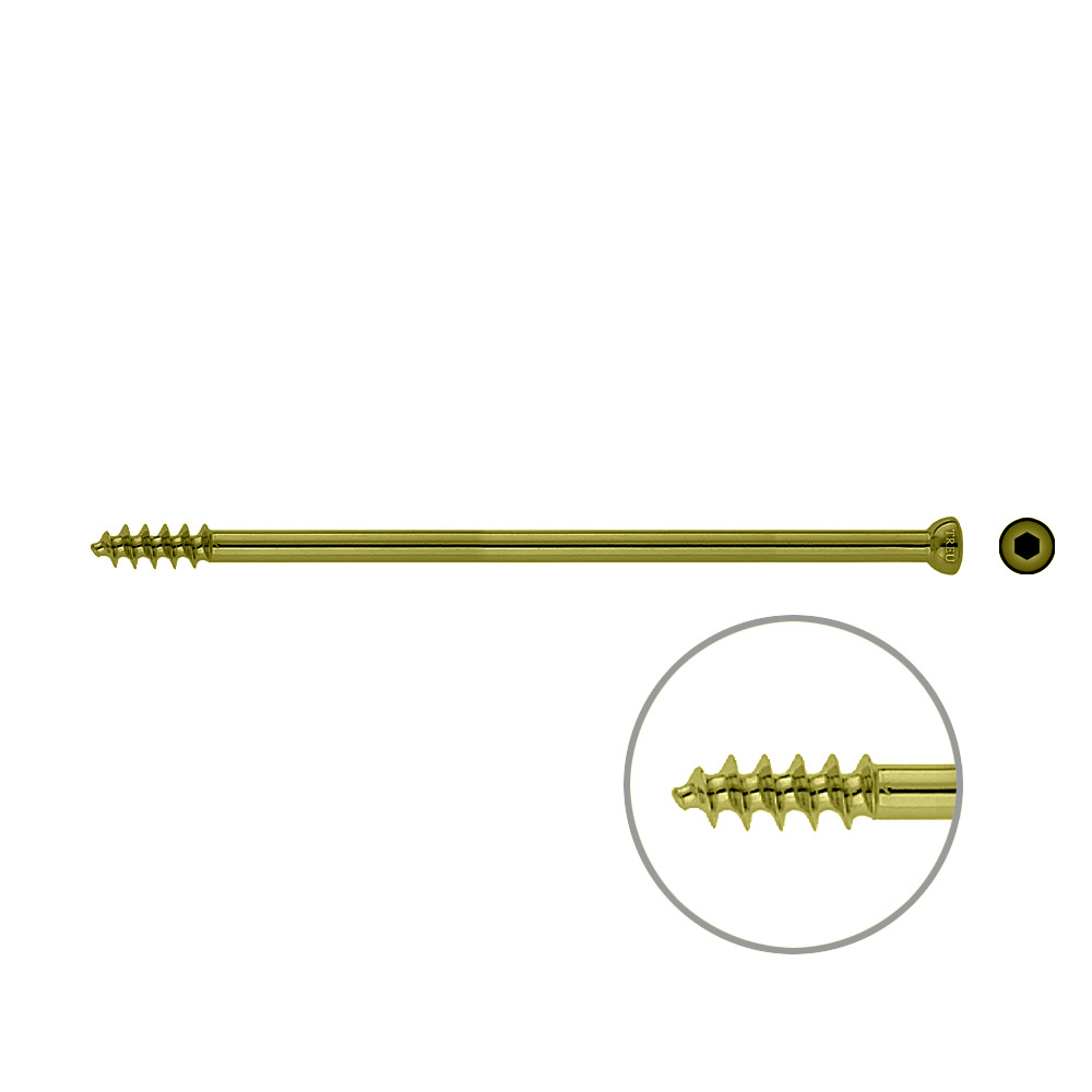 Spongiosa screw 6.5x 120mm thr.16mm TITAN 