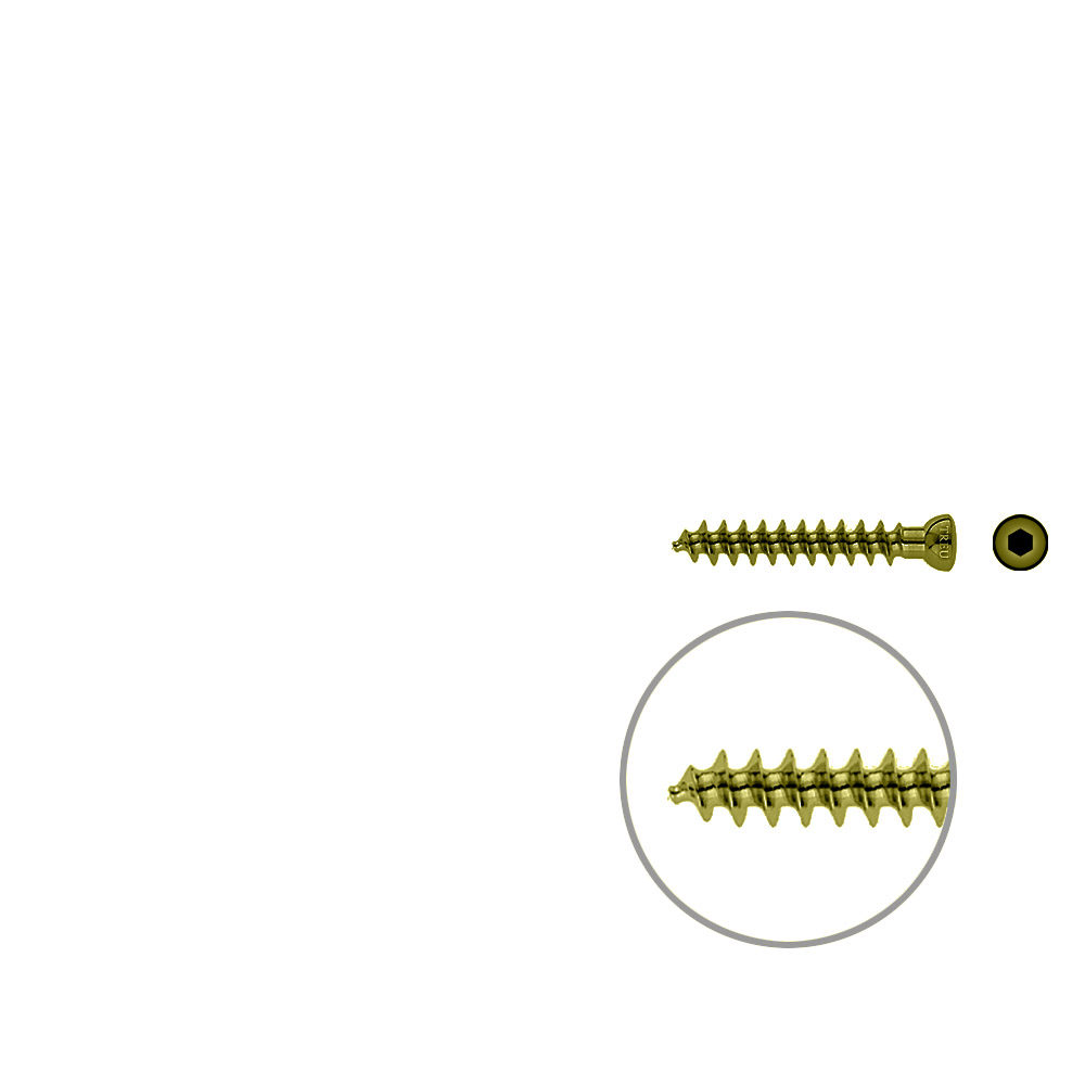 Spongiosa screw 6,5x 40mm thr. 32mm TITAN 