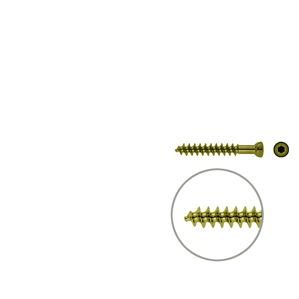 Spongiosa screw 6,5x 45mm thr. 32mm TITAN 