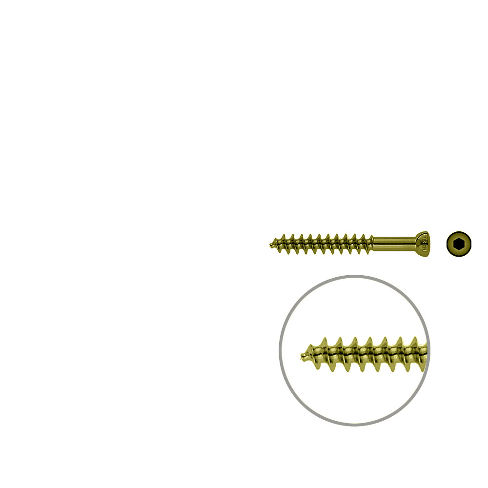 Spongiosa screw 6.5x 50mm thr. 32mm TITAN 