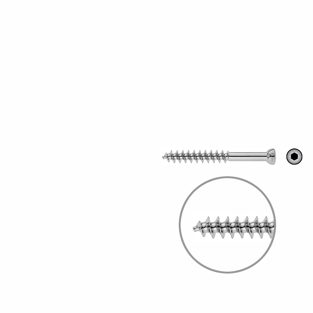 Spongiosa screw 6.5x 55mm thr. 32mm 