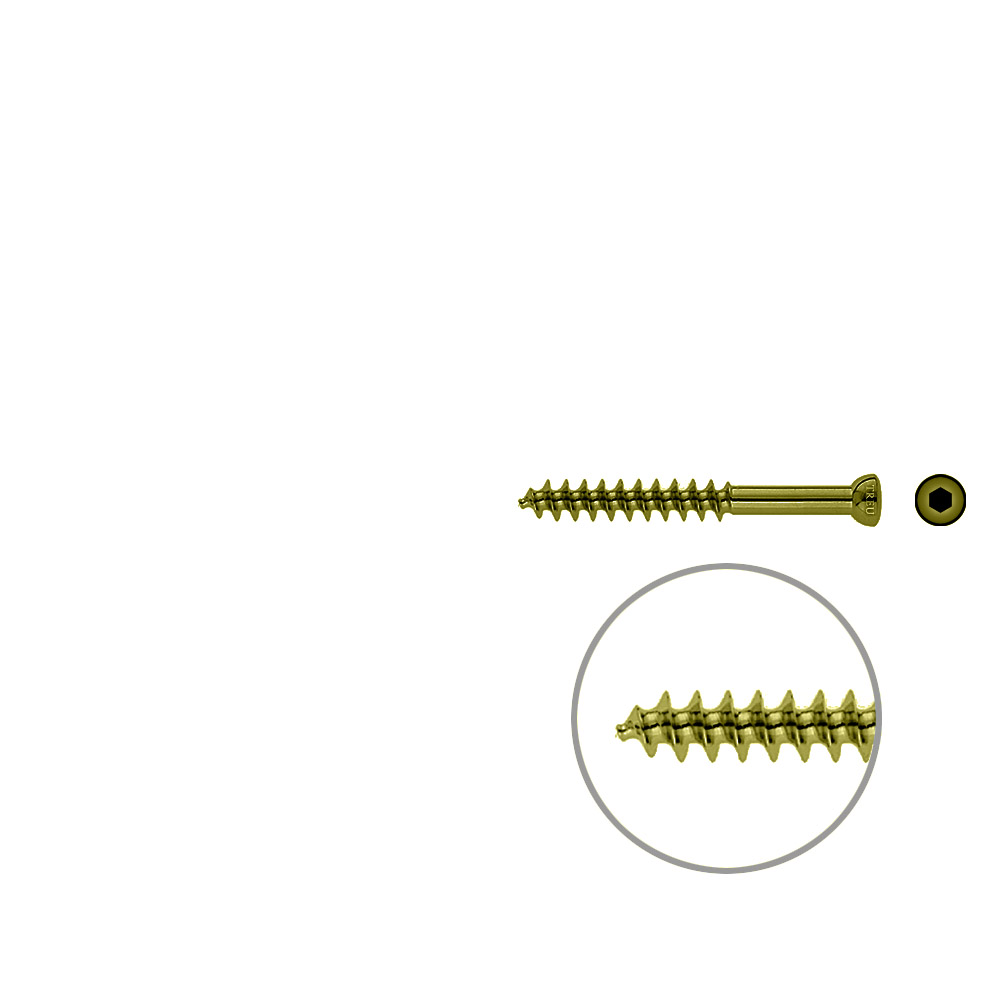 Spongiosa screw 6.5x 55mm thr. 32mm TITAN 