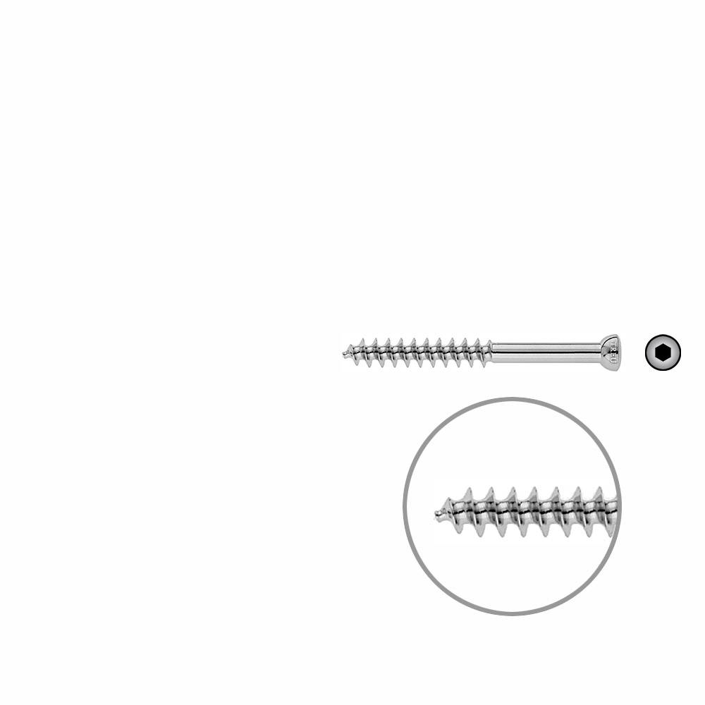 Spongiosa screw 6.5x 60mm thr. 32mm 