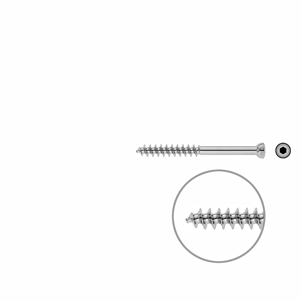 Spongiosa screw 6.5x 65mm thr. 32mm 