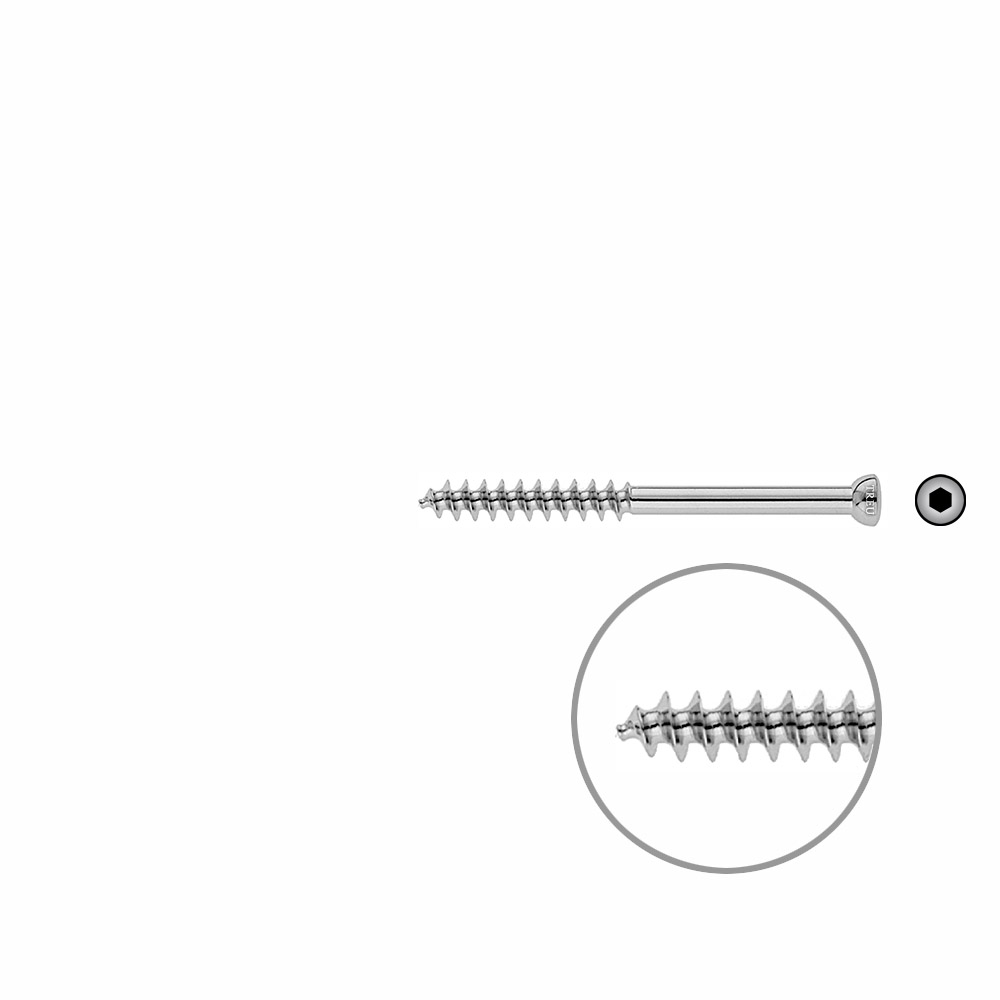 Spongiosa screw 6.5x 70mm thr. 32mm 