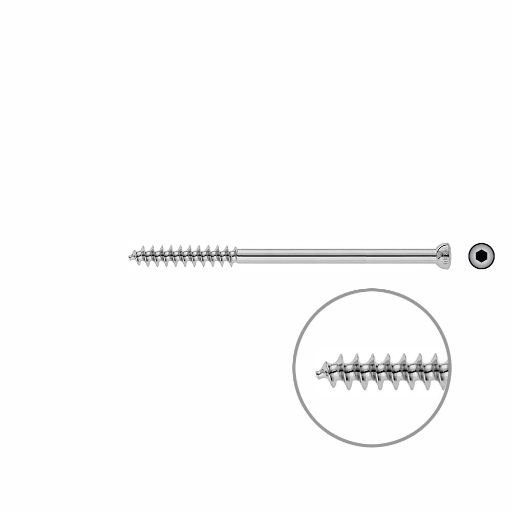 Spongiosa screw 6,5x 95mm thr. 32mm 